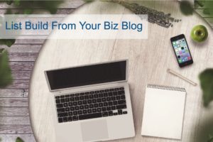 List Build For Your Biz Blog