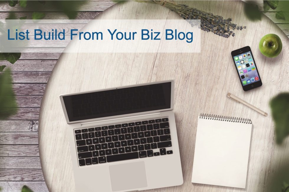 List Build For Your Biz Blog