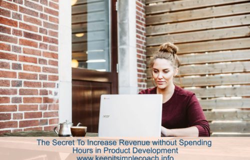 Increase Revenue without Spending Hours on Product Development on laptop