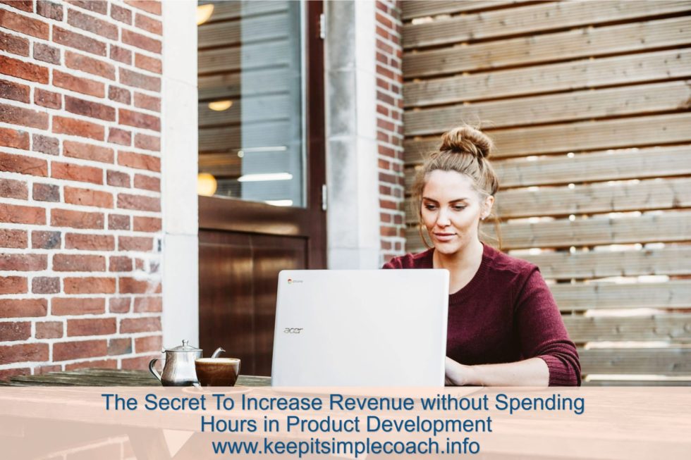 Increase Revenue without Spending Hours on Product Development on laptop